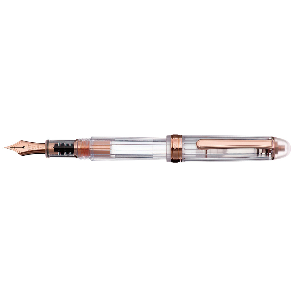 Platinum Century Nice Fountain Pen - Platinum -  L.S.F. Group of Companies 